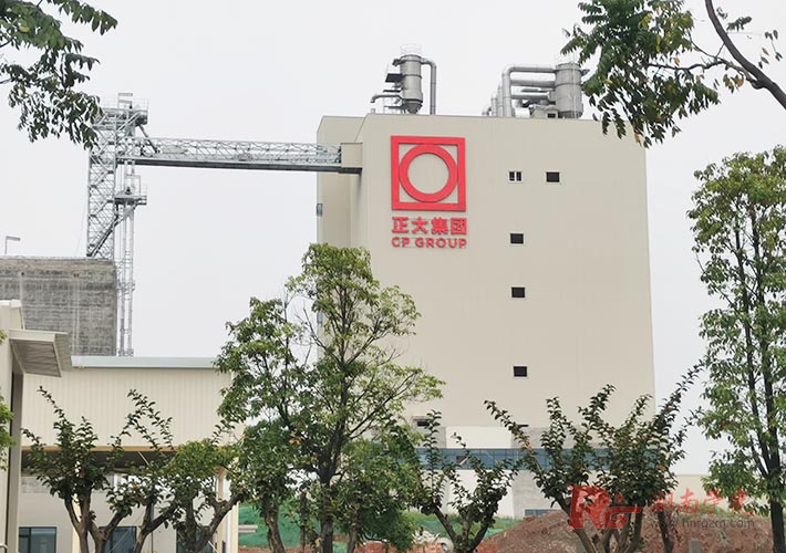 �Lɳ���󼯈F(tu��n)����V�� LED��¶����l(f��)���ְ��bʩ��