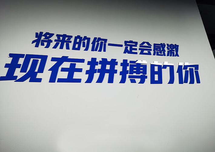 �Lɳ��˾�Ļ�